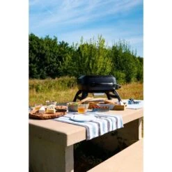 Napoleon Gasgrill TRAVELQ 240 -Küchen Grill Geschäft Napoleon Gasgrill TRAVELQ 240@@1872821 12