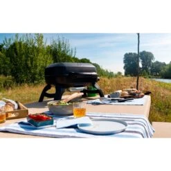 Napoleon Gasgrill TRAVELQ 240 -Küchen Grill Geschäft Napoleon Gasgrill TRAVELQ 240@@1872821 14