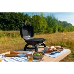 Napoleon Gasgrill TRAVELQ 240 -Küchen Grill Geschäft Napoleon Gasgrill TRAVELQ 240@@1872821 16