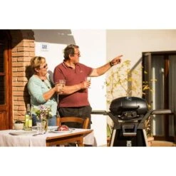 Napoleon Gasgrill TravelQ PRO285 -Küchen Grill Geschäft Napoleon Gasgrill TravelQ PRO285@@9ggfen0o 10