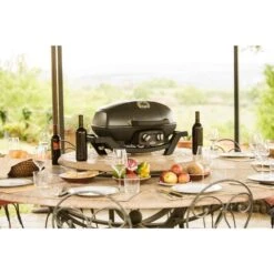 Napoleon Gasgrill TravelQ PRO285 -Küchen Grill Geschäft Napoleon Gasgrill TravelQ PRO285@@9ggfen0o 11