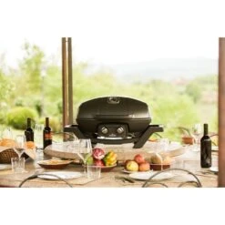 Napoleon Gasgrill TravelQ PRO285 -Küchen Grill Geschäft Napoleon Gasgrill TravelQ PRO285@@9ggfen0o 13