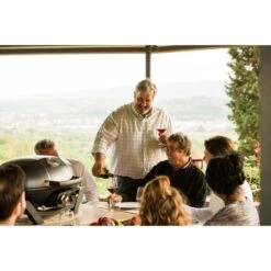 Napoleon Gasgrill TravelQ PRO285 -Küchen Grill Geschäft Napoleon Gasgrill TravelQ PRO285@@9ggfen0o 14