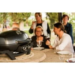 Napoleon Gasgrill TravelQ PRO285 -Küchen Grill Geschäft Napoleon Gasgrill TravelQ PRO285@@9ggfen0o 15