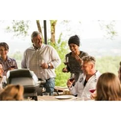 Napoleon Gasgrill TravelQ PRO285 -Küchen Grill Geschäft Napoleon Gasgrill TravelQ PRO285@@9ggfen0o 16