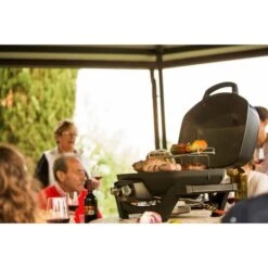 Napoleon Gasgrill TravelQ PRO285 -Küchen Grill Geschäft Napoleon Gasgrill TravelQ PRO285@@9ggfen0o 17
