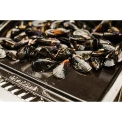 Napoleon Gusseisen-Plancha, Grillplatte -Küchen Grill Geschäft Napoleon Gusseisen Plancha Grillplatte@@9ggzzn0s 6