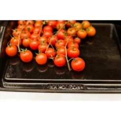 Napoleon Gusseisen-Plancha, Grillplatte -Küchen Grill Geschäft Napoleon Gusseisen Plancha Grillplatte@@9ggzzn0s 7