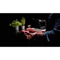 Otto Wilde Grillers O.F.B. Lite, Gasgrill -Küchen Grill Geschäft Otto Wilde Grillers O F B Lite Gasgrill@@9ggeeo02 11