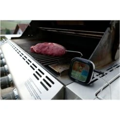 TFA Digitales Grill-Bratenthermometer 14.1509 -Küchen Grill Geschäft TFA Digitales Grill Bratenthermometer 14 1509@@1914083 2