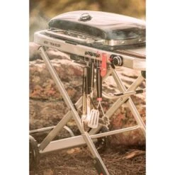 Weber Gasgrill Traveler Black -Küchen Grill Geschäft Weber Gasgrill Traveler Black@@1694181 17
