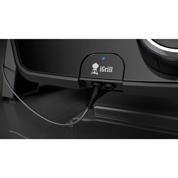 Weber Kontrolleinheit Für Pulse 1000, Ersatzteil 4 Weber Kontrolleinheit Für Pulse 1000, Ersatzteil – Bild 2