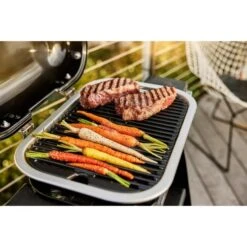 Weber Lumin Compact Elektrogrill Mit Stand -Küchen Grill Geschäft Weber Lumin Compact Elektrogrill mit Stand@@1875514 9
