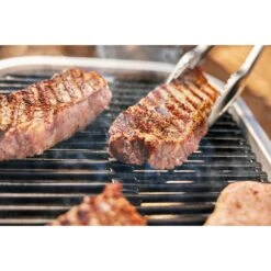 Weber Lumin Elektrogrill -Küchen Grill Geschäft Weber Lumin Elektrogrill@@1875480 11